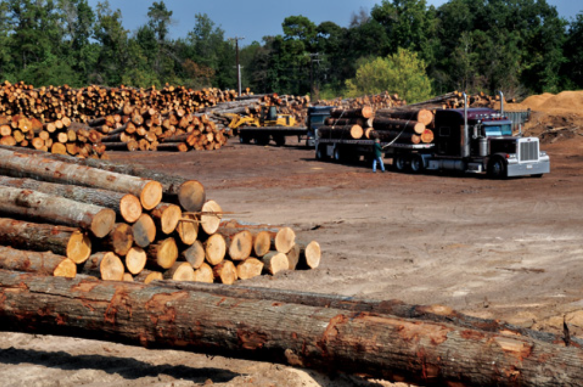 Nacogdoches Sawmill